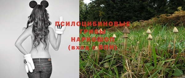 крисы Карпинск