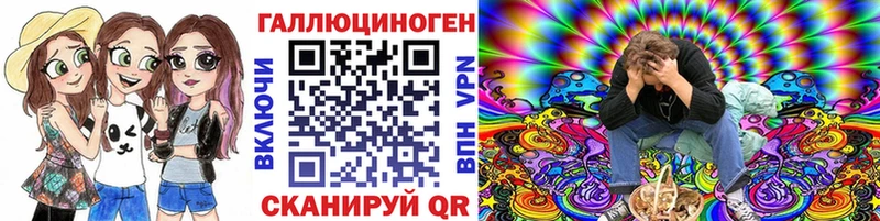 Купить  Волхов  Галлюциногенные грибы Psilocybine cubensis 