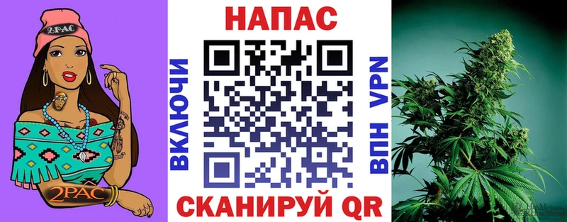 Марихуана сатива  Купить где  Волхов 